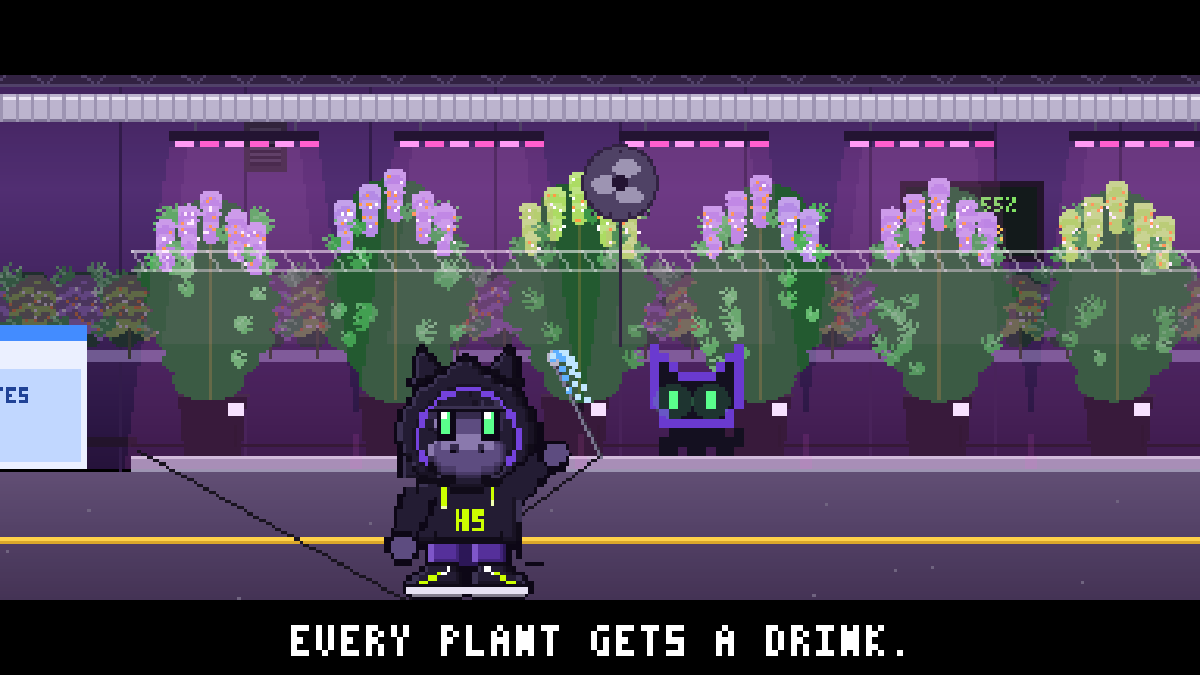 The Grow Room